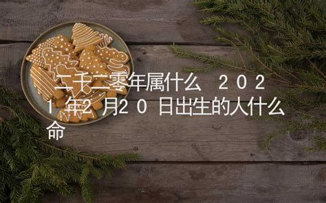 12月20日出生的藝人|12月20日出生的名人伟人大全